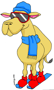 The Coolest Sport (December 29, 2000)